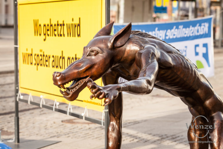 Ausstellung "Die Wölfe sind zurück"